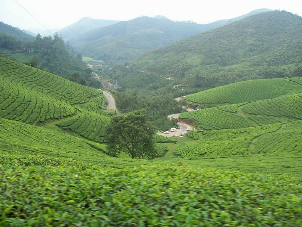 40. ദേവികുളം