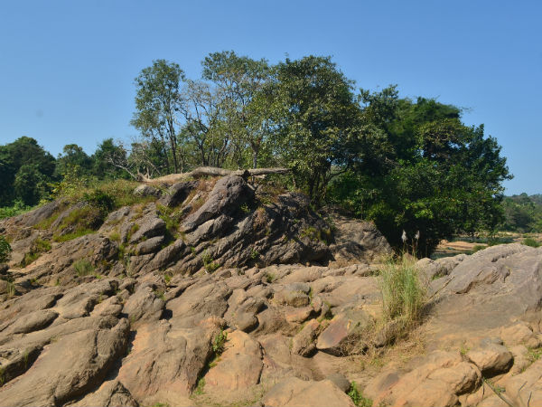 കൂടുതല് ചിത്രങ്ങള്