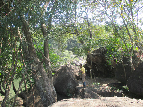 കൂടുതല് ചിത്രങ്ങള്