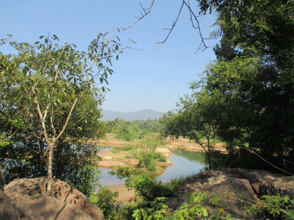 തൃക്കാരിയൂര് മഹാദേവന്