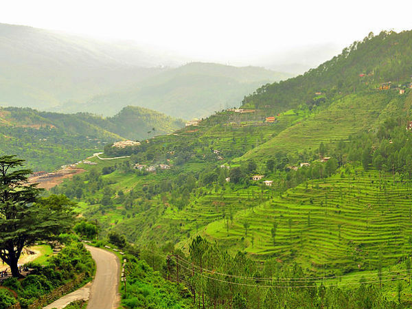 12. അല്മോറ