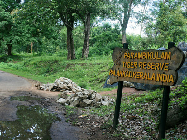 പറമ്പിക്കുളത്തേക്കുള്ള വഴി