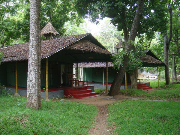 ടെന്റഡ് നിച്