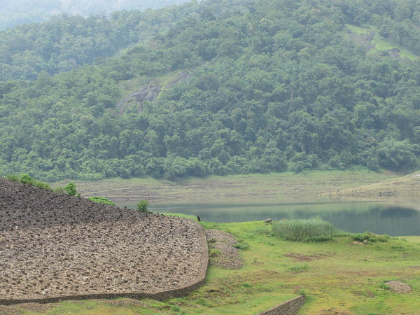 വനംവകുപ്പ്