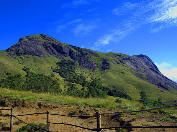 ആനമുടി