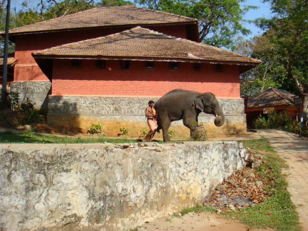 05. കോന്നി, പത്തനംതിട്ട