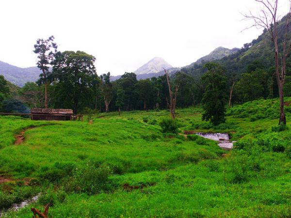 07. പറമ്പിക്കുളം, പാലക്കാട്