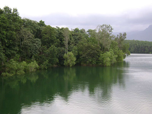 08. പേപ്പാറ, തിരുവനന്തപുരം