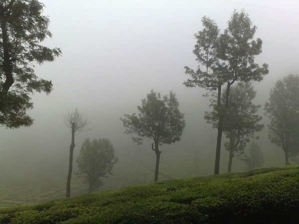 ഗ്ലെന് മോര്ഗന്, ഊട്ടി