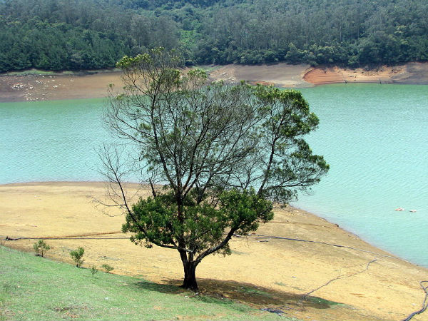 പൈകര, ഊട്ടി