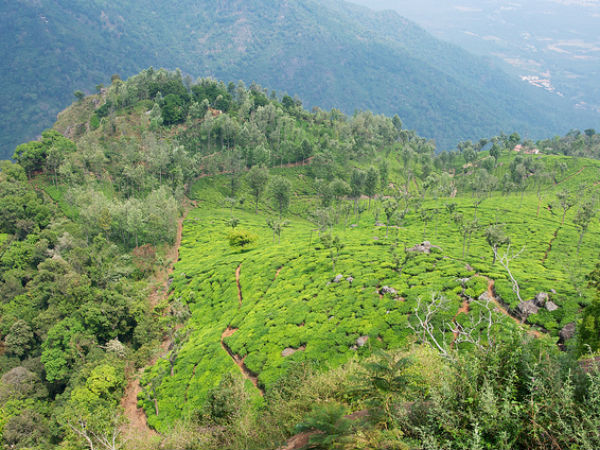 ലാംബ്സ് റോക്ക്, കുന്നൂര്