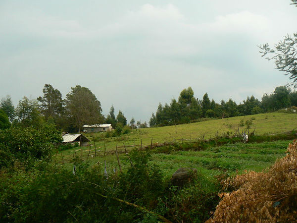 ബൈസന് വെല്സ്, കൊടൈക്കനാല്