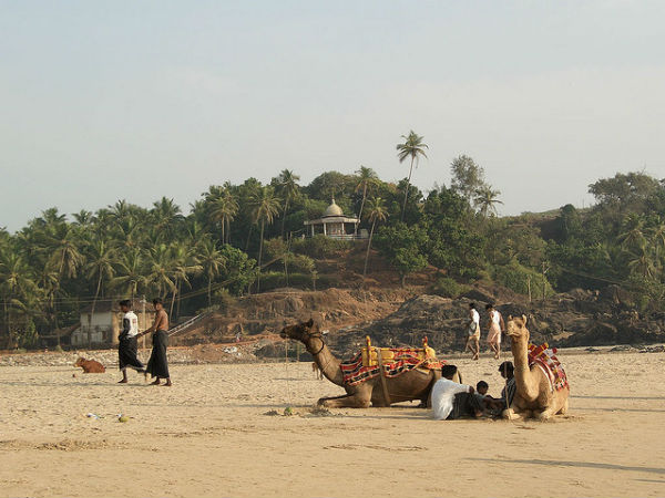 കൂടുതല് ചിത്രങ്ങള്
