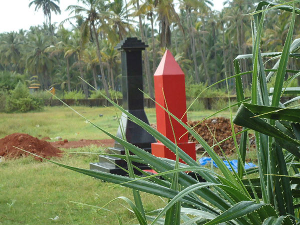 റോഡ്