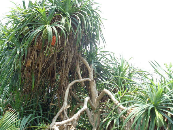 പോകാന് പറ്റിയ സമയം