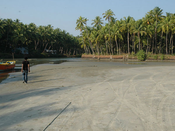 കണ്ണൂരില് നിന്ന്
