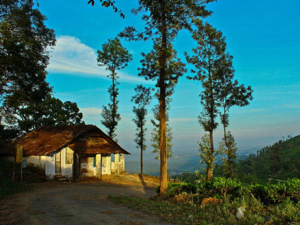 14. ചെമ്പ്രപീക്ക്, വയനാട്