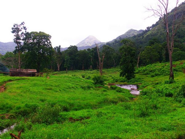 15. പറമ്പിക്കുളം, പാലക്കാട്