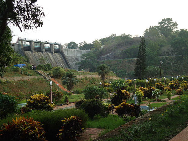 19. പീച്ചി, തൃശൂര്