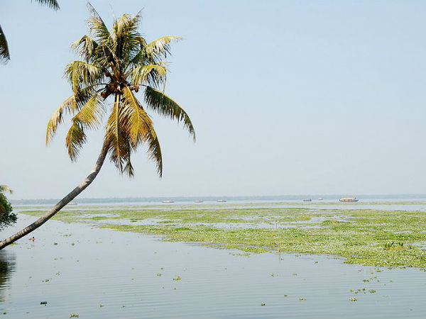 44. വേമ്പനാട് കായല്, ആലപ്പുഴ