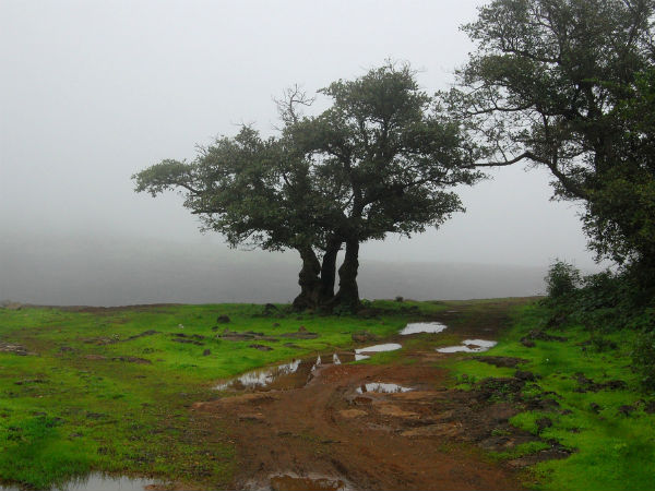 05. ലോണാവ്ല