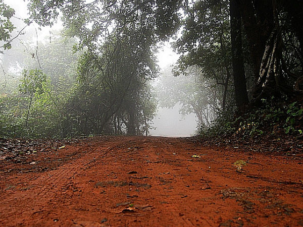 കാഴ്ചകള്