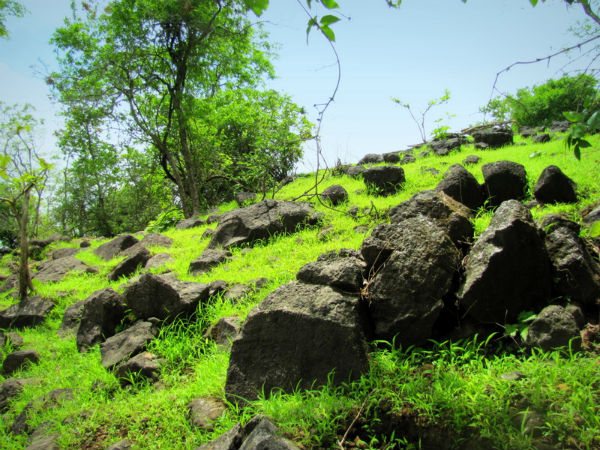 14. ഭീംശങ്കര്