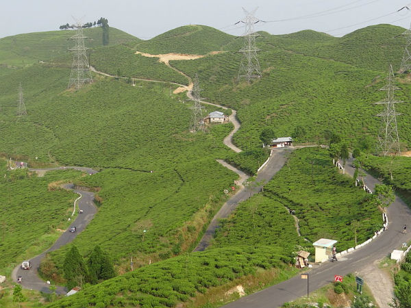 27. ഡാര്ജിലിംഗ്