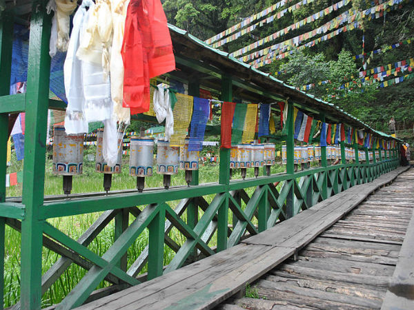 30. പെല്ലിംഗ്