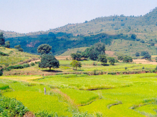 41. അരക്കുവാലി