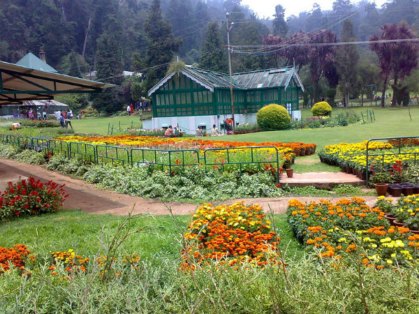 43. ഊട്ടി