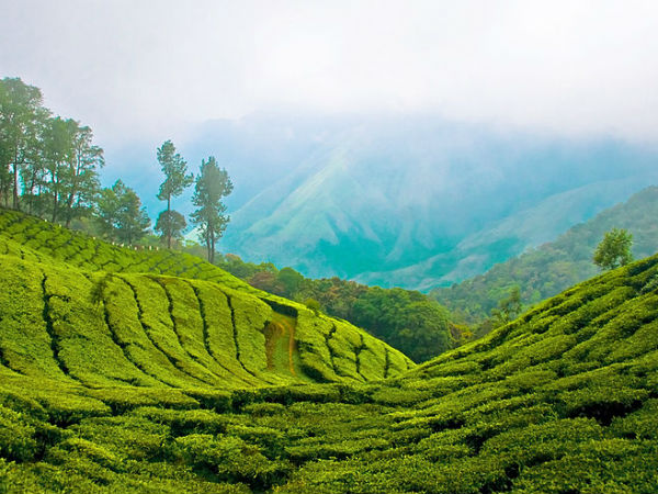 48. മൂന്നാര്