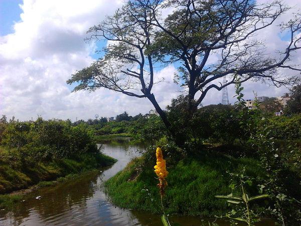 12. ചെന്നൈ; ദാസനും വിജയനും കണ്ട ദുബായ്