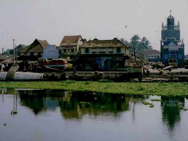 31. ആടുതോമയുടെ ചങ്ങനാശ്ശേരി മാര്ക്കറ്റ്