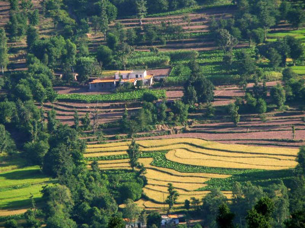 13. ചാണ്ഡിഗഡ് - കസോളി