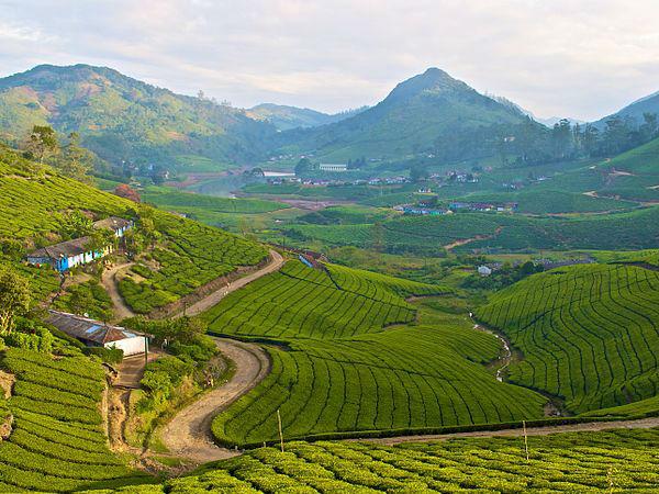 18. തേനി - മേഘമലൈ