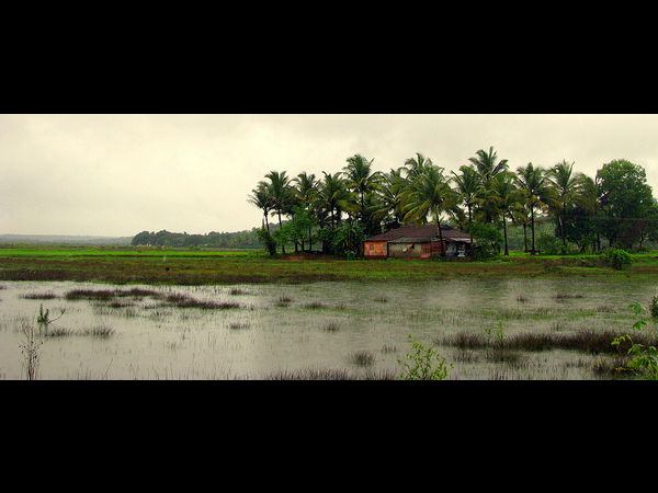 03 ദിവാർ