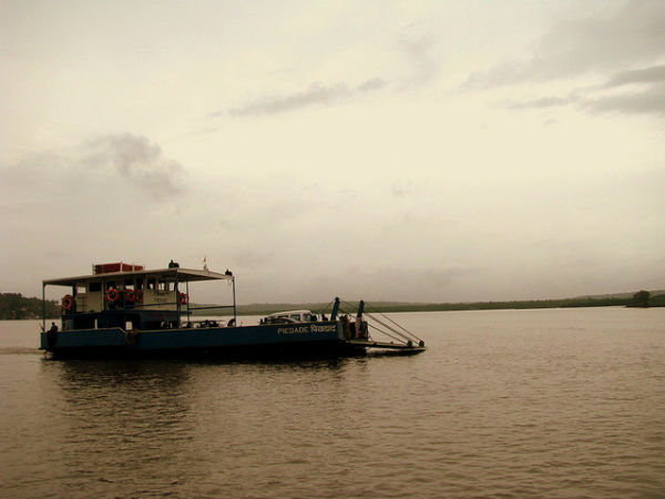 ഫെറി