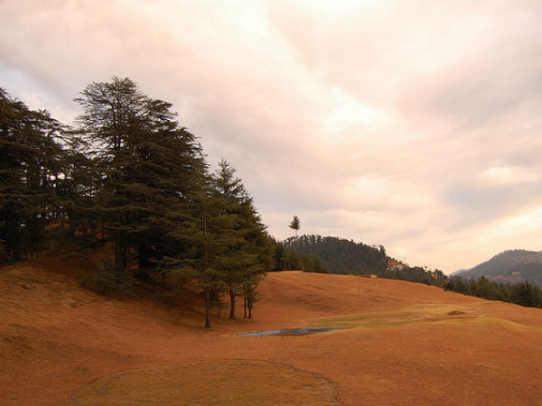 15. നാല്ദെഹ്റ