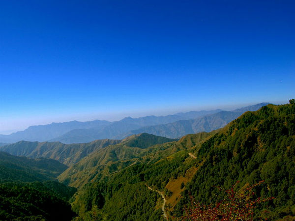 19. കല്സി