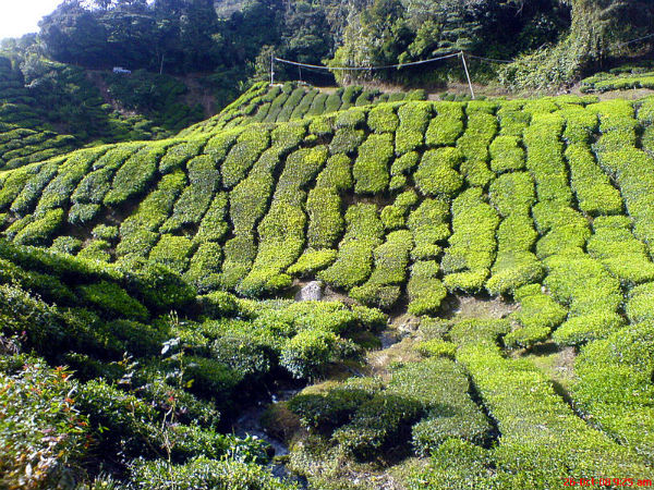 മലേഷ്യ