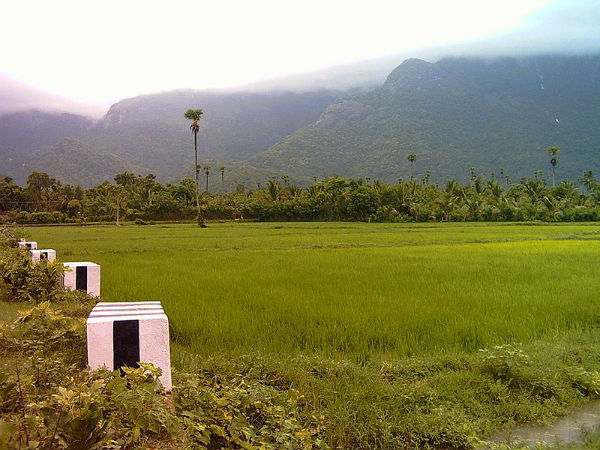 05. നെന്മാറ