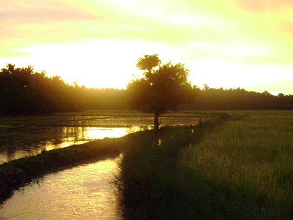 01. വല്ലപ്പുഴ