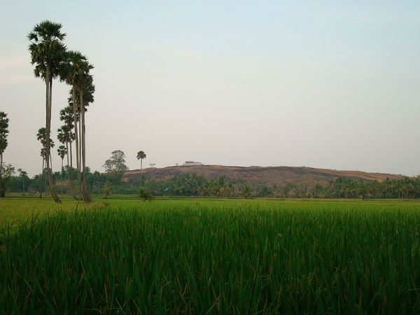 07. പല്ലാവൂർ