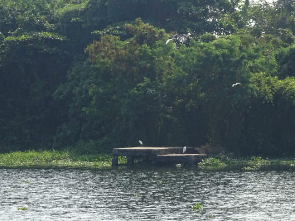 05. പാതിരാമണല്