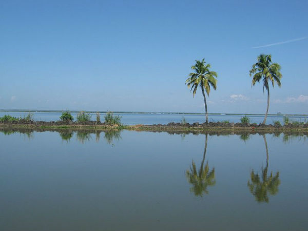 06. കുട്ടനാട്