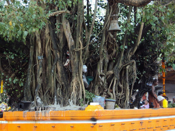 05. ഓച്ചിറ