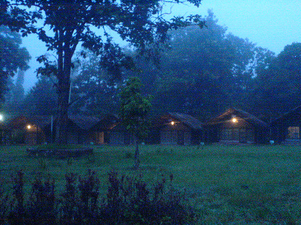08. ഡാൻഡെലി