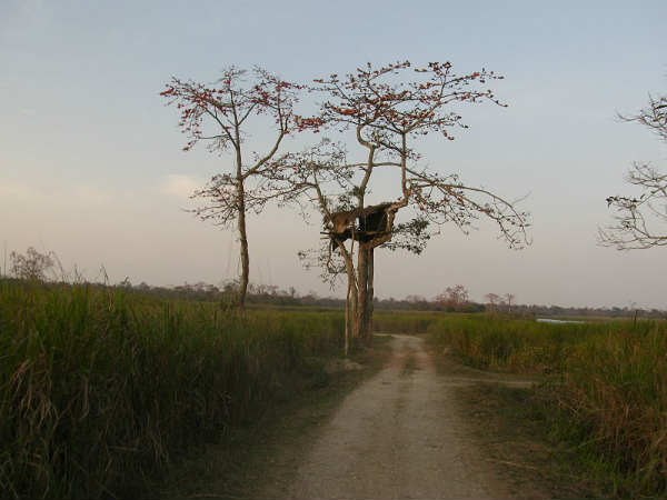 അഞ്ചു സോണുകളായി കാസിരംഗ
