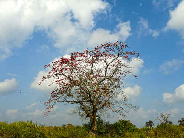 കൂടുതല് ചിത്രങ്ങള്